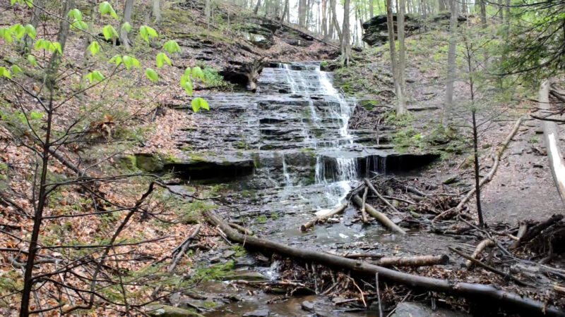 Little Falls at Wadsworth State Park